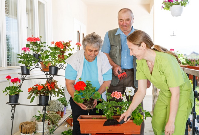 embracing-spring-elderly-wellness-activities